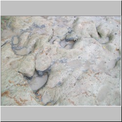 100_0985 (2009-28-07).JPG